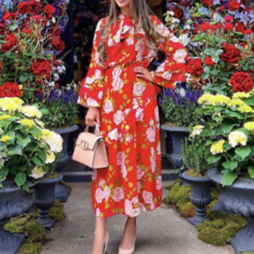 Zara Ruffled Dress - Picture 5 of 7